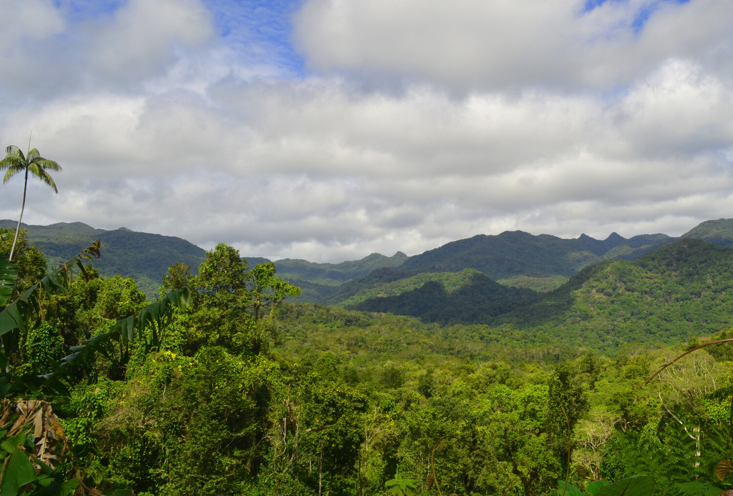 Sustainability services