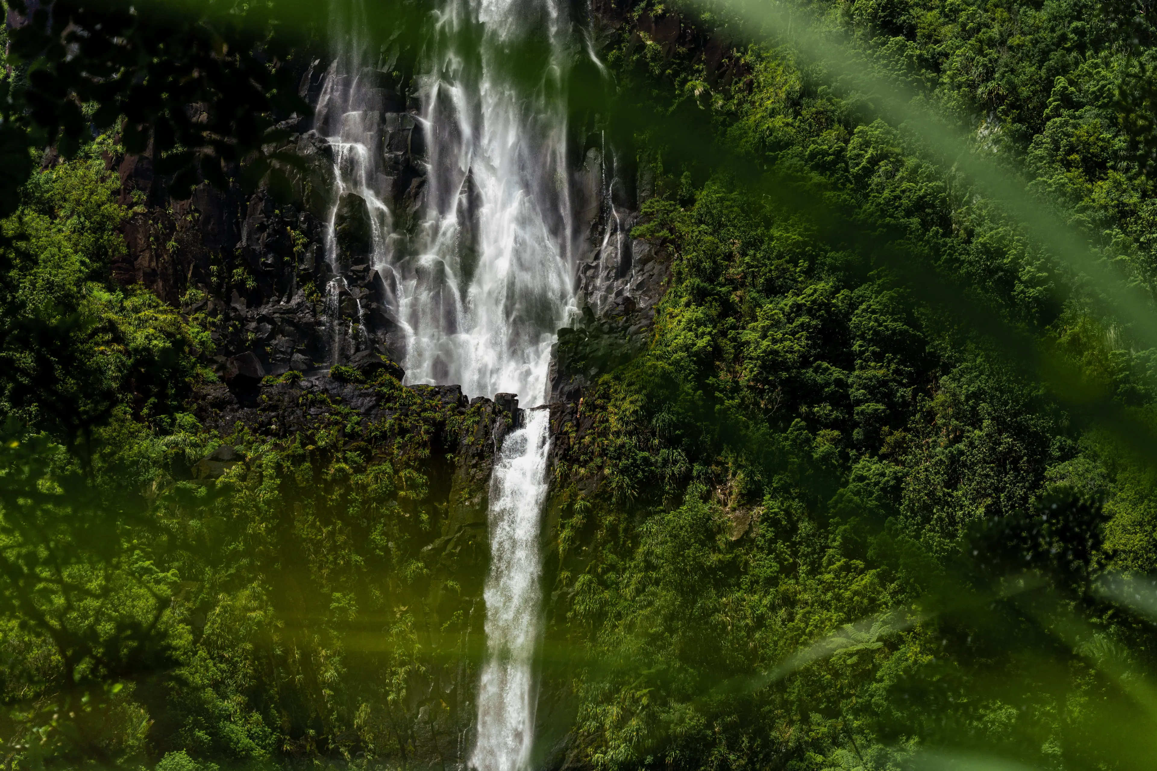 Sustainability services